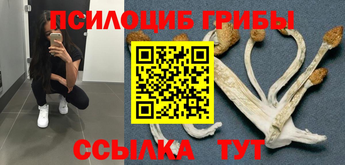 Назрань  Галлюциногенные грибы мухоморы  Галлюциногенные грибы мухоморы  Вход с VPN 