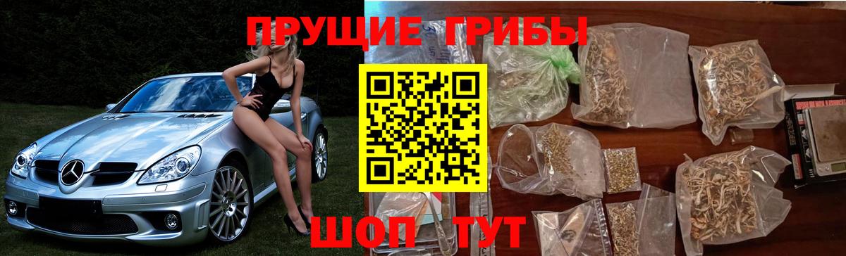 Галлюциногенные грибы GOLDEN TEACHER Назрань